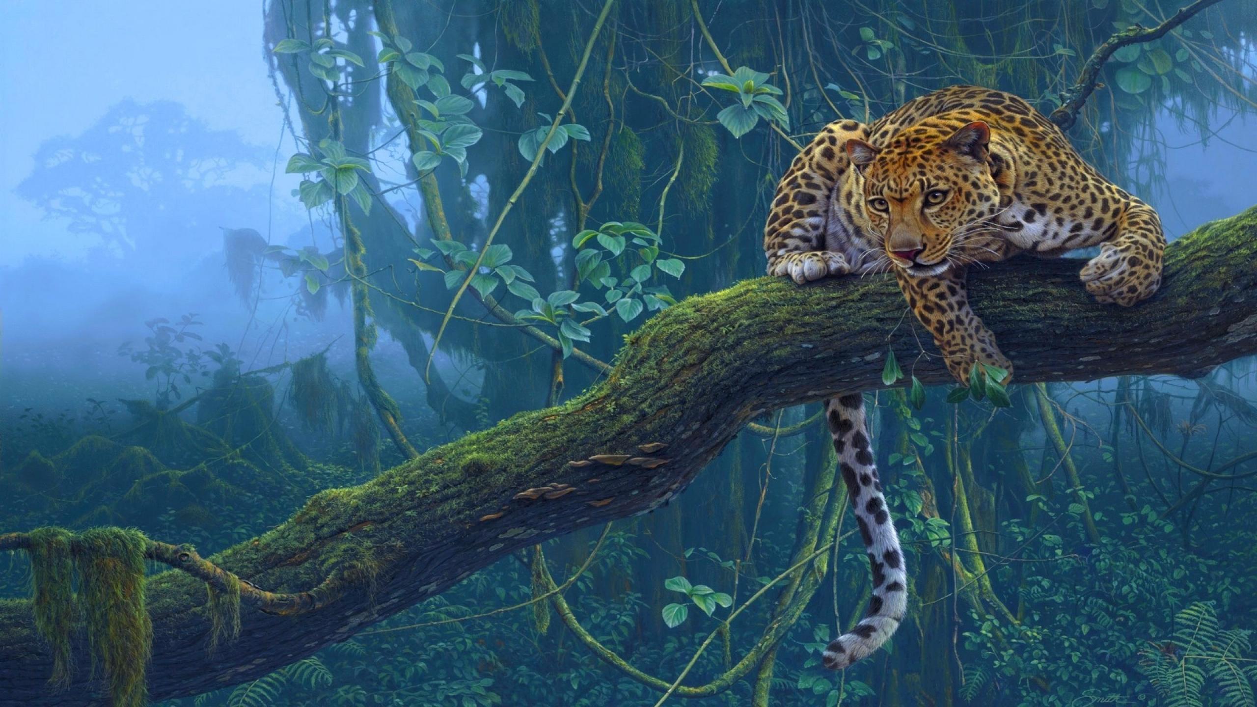 784 Leopard Fondos de pantalla HD | Imágenes de fondo