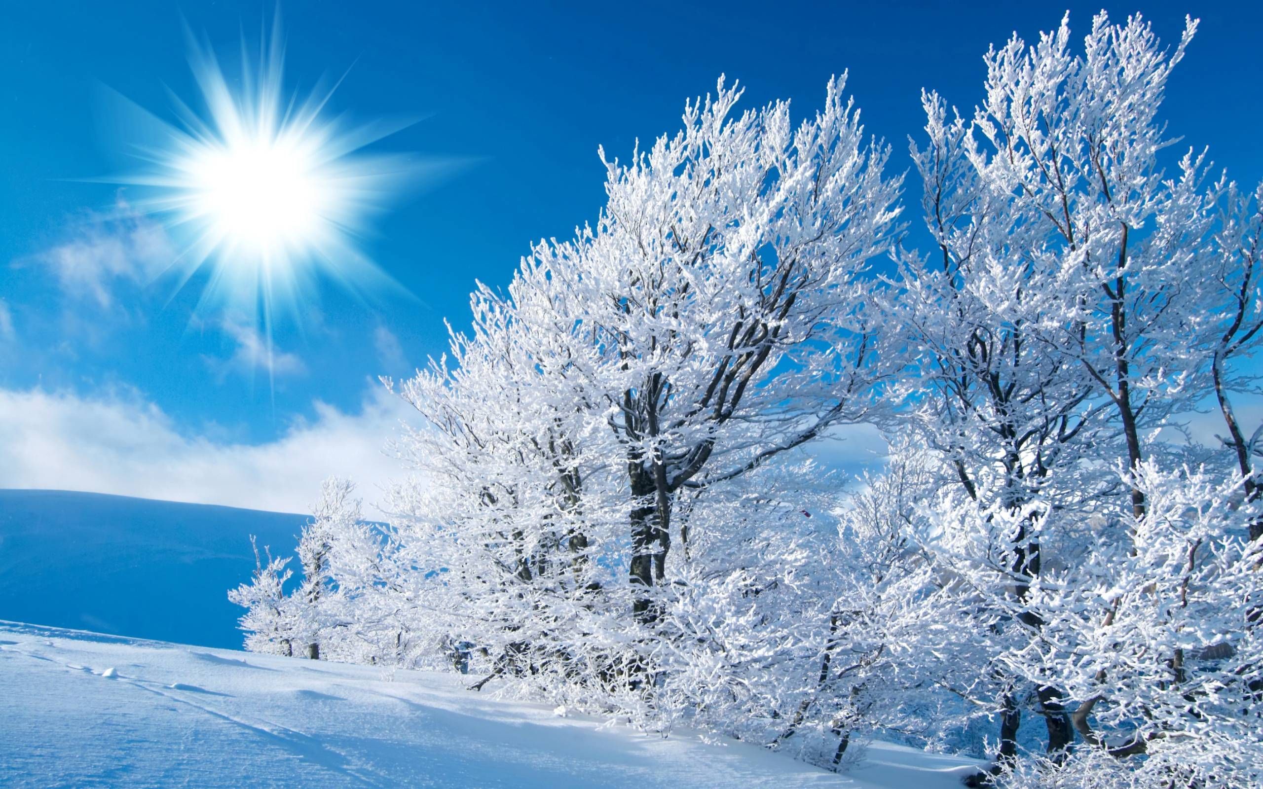 Winter Nature Wallpapers HD Resolución | Iarna en 2019 | Invierno