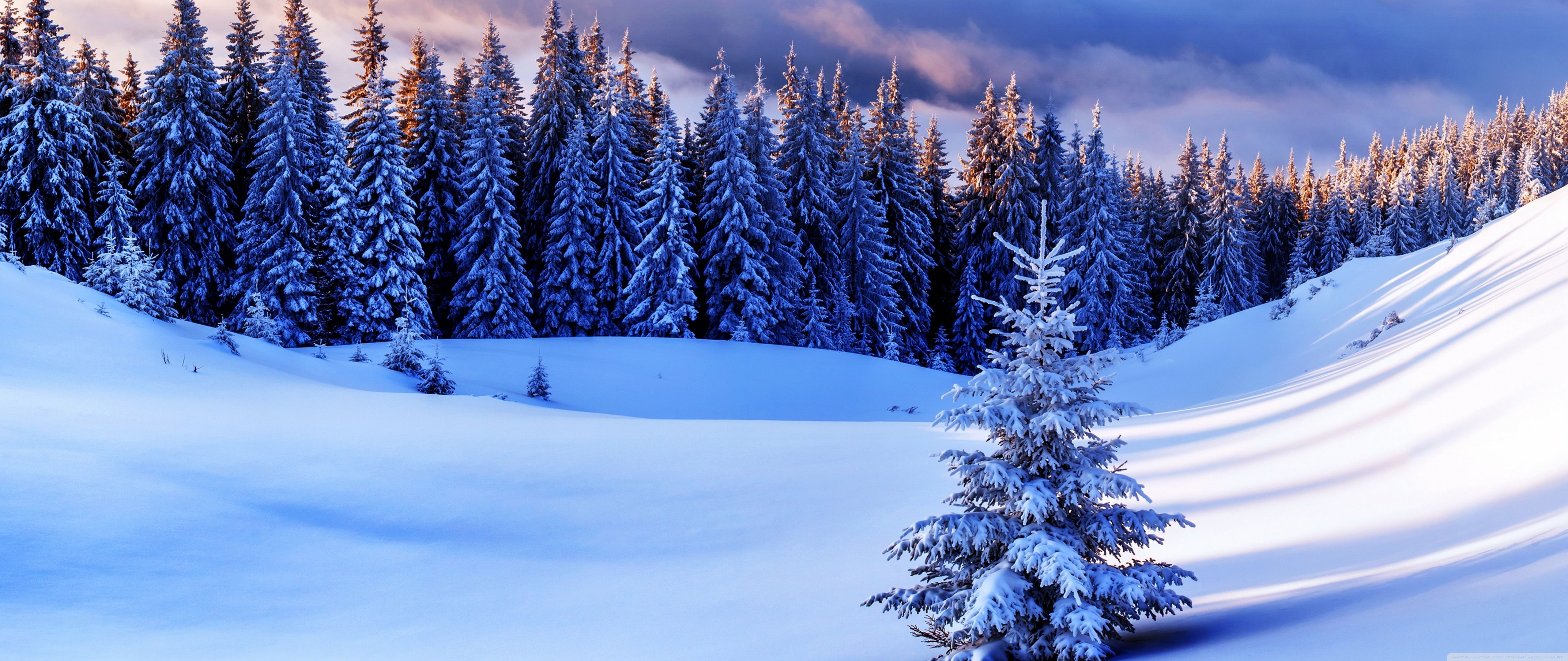 Temporada de invierno, montañas ❤ Fondo de escritorio 4K HD para 4K Ultra HD