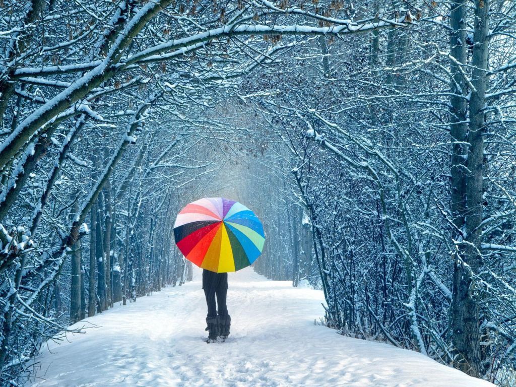 Fondo de pantalla de invierno - foto de invierno (36092407) - fanpop