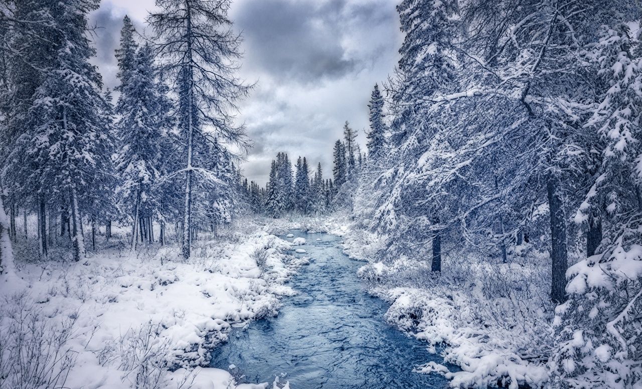 Fondos de Escritorio Naturaleza Canadá Árboles Quebec Winter forest Stream