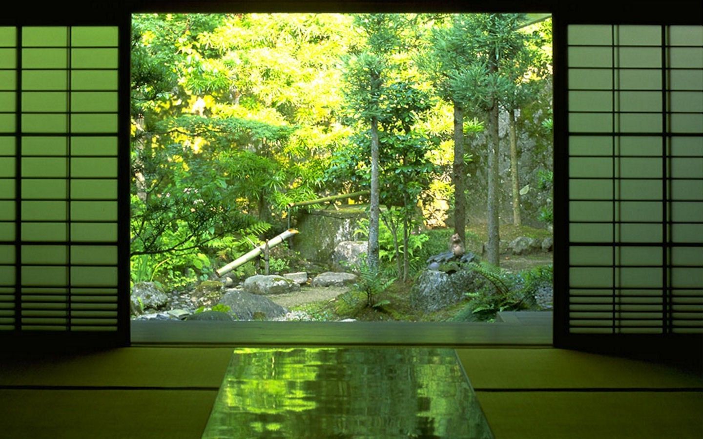 Zen, Naturaleza, Bosque Fondos de pantalla HD / Fondos de escritorio y móviles