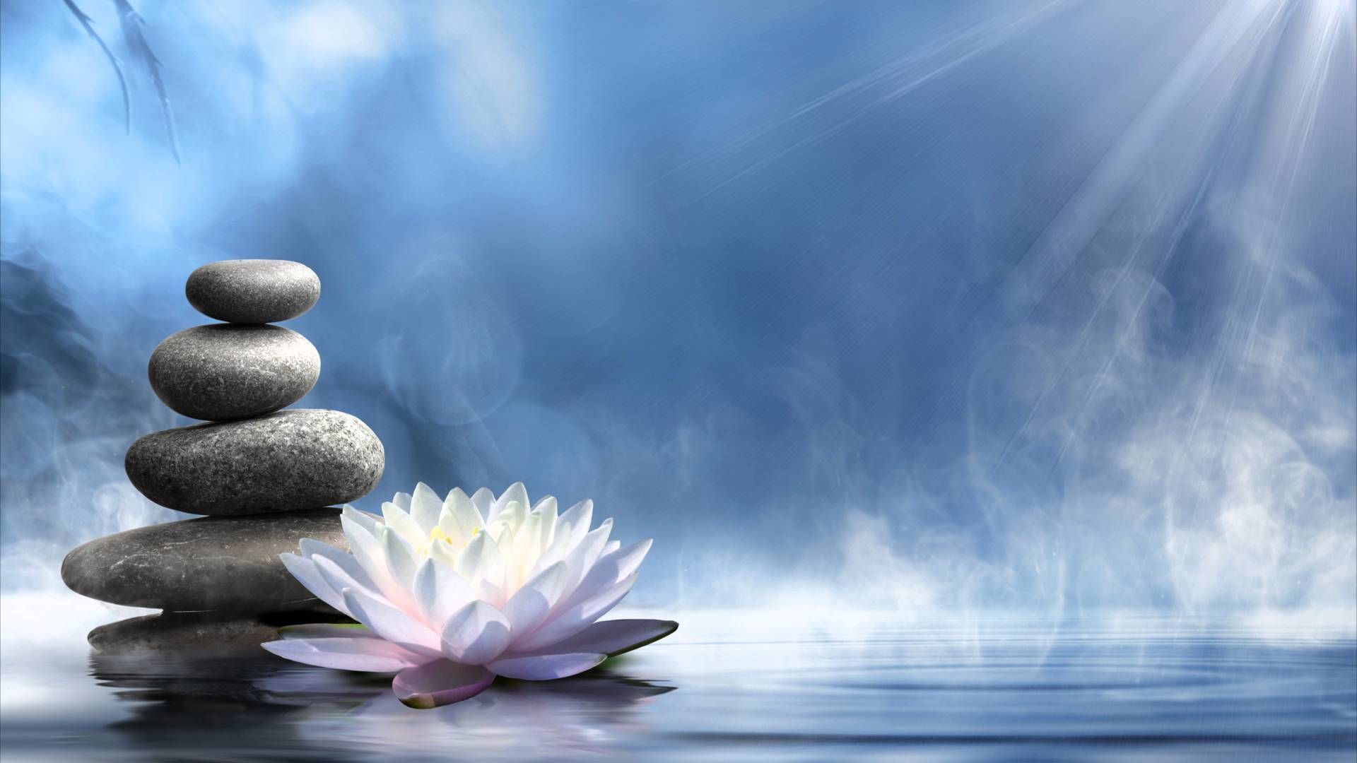 Zen Lotus Wallpapers - Los mejores fondos de Zen Lotus gratis - WallpaperAccess