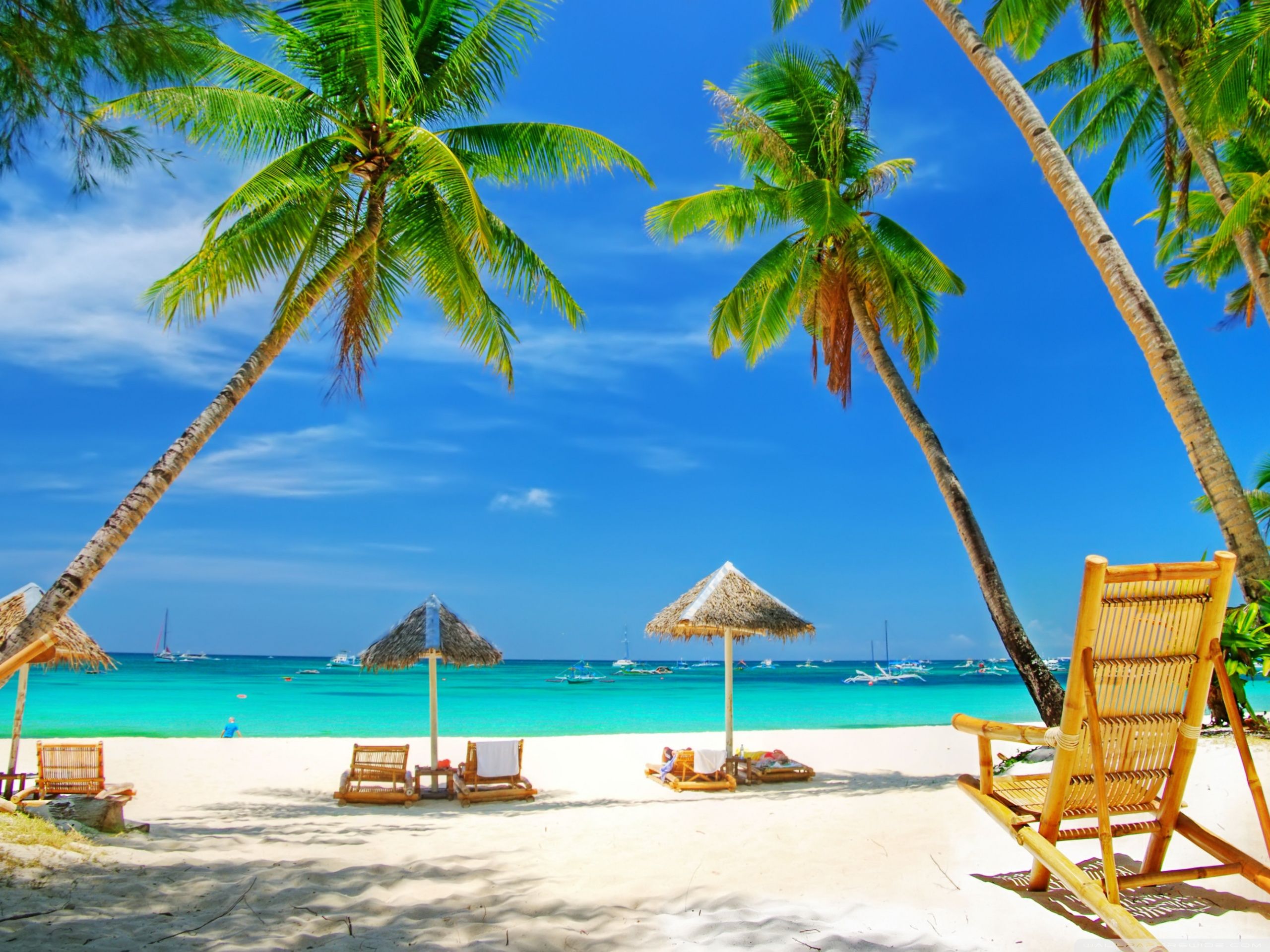 Tropical Paradise Beach ❤ Fondo de escritorio 4K HD para 4K Ultra HD