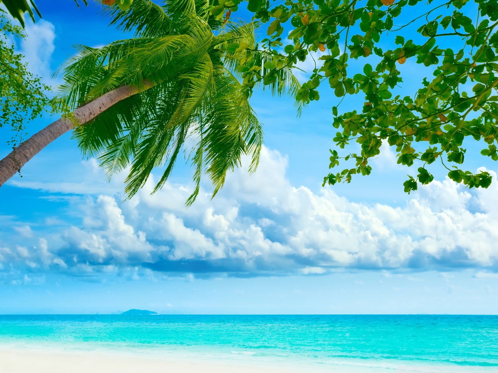 Tropical Beach Resorts ❤ Fondo de escritorio 4K HD para TV 4K Ultra HD
