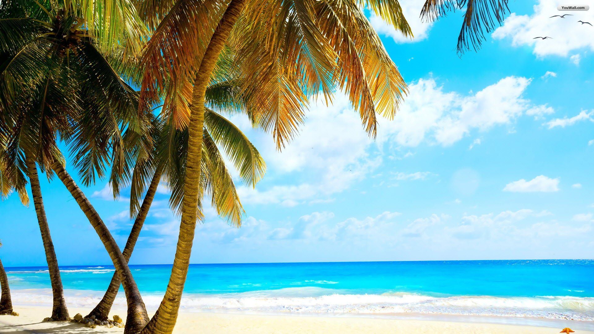 Tropical Beach Fondos de pantalla panorámica | Nature HD Wallpaper