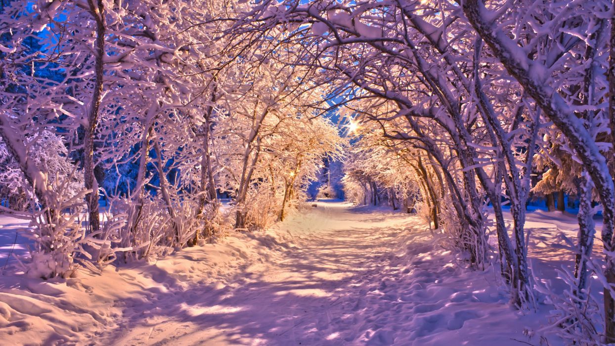 Naturaleza paisajes invierno nieve navidad acera carreteras luces blanco