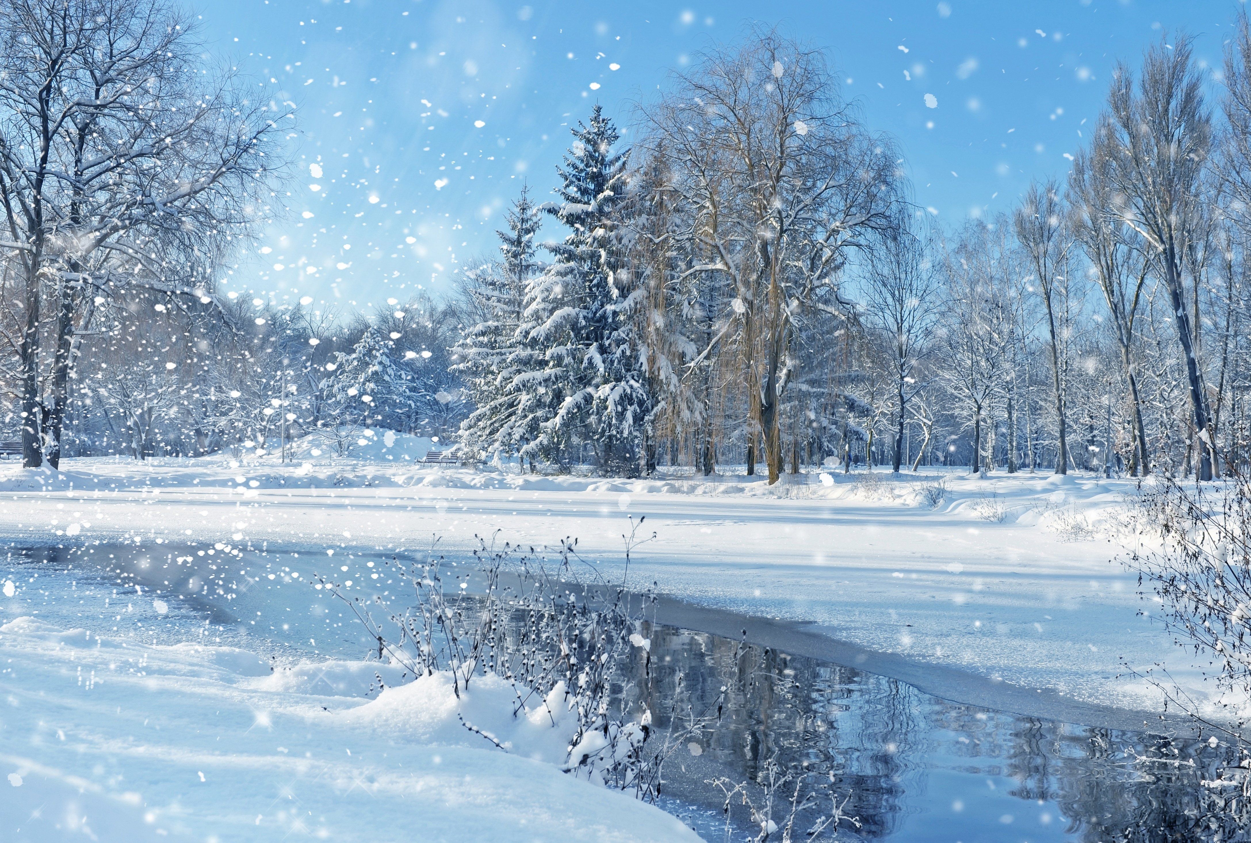 Paisaje naturaleza cielo árboles invierno navidad fondos de pantalla | 4350x2934