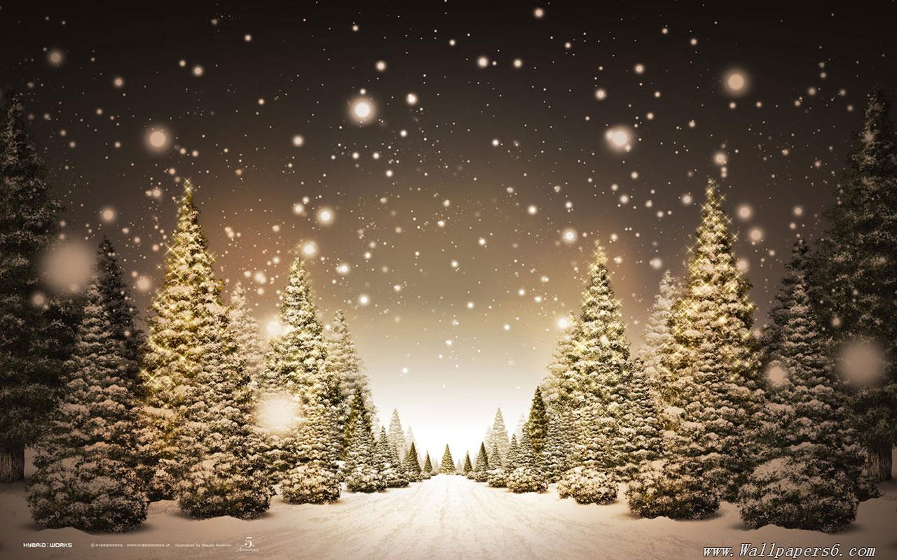 Descargar gratis invierno nieve árboles de navidad paisaje fondos de pantalla