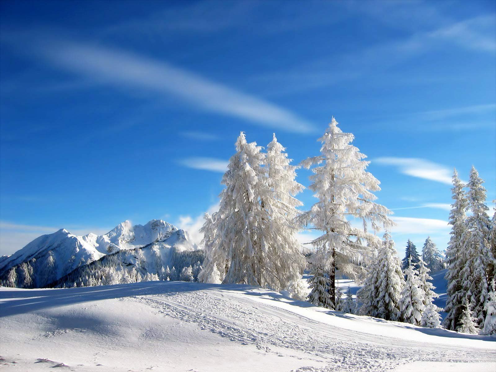 paisajes navideños: fondo de pantalla paisaje de invierno