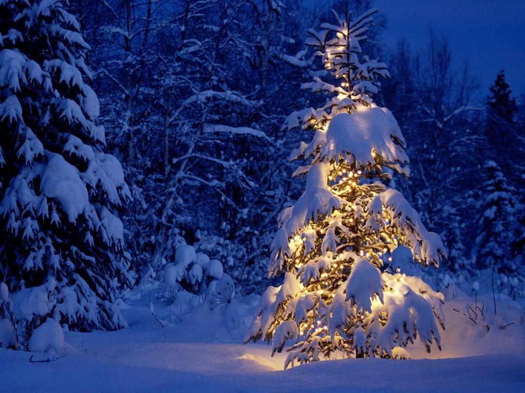Fondos de invierno - Paisajes nevados de Navidad (# 136638) - HD