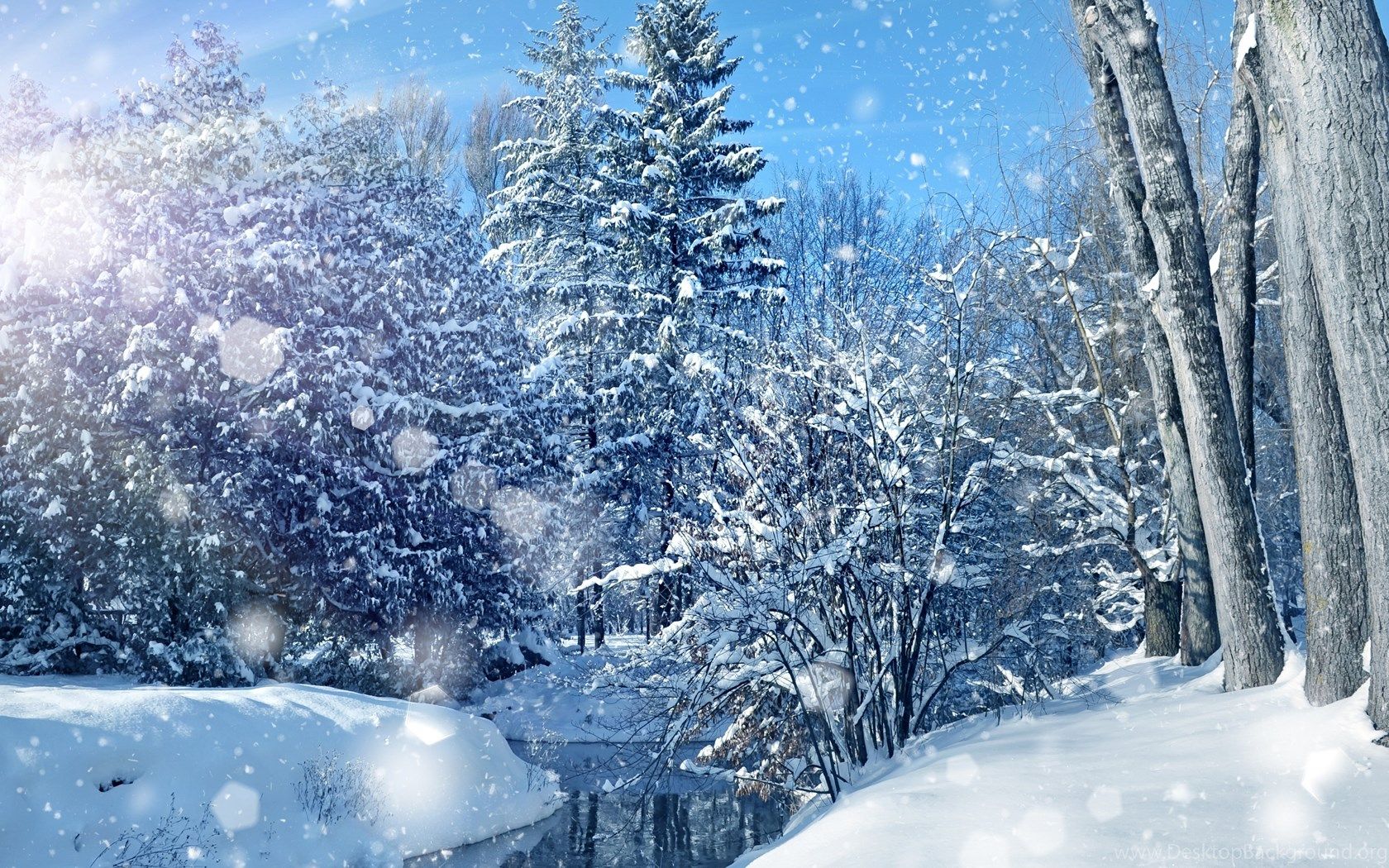 Naturaleza Cielo Árboles Paisaje Invierno Bokeh Fondos de Navidad
