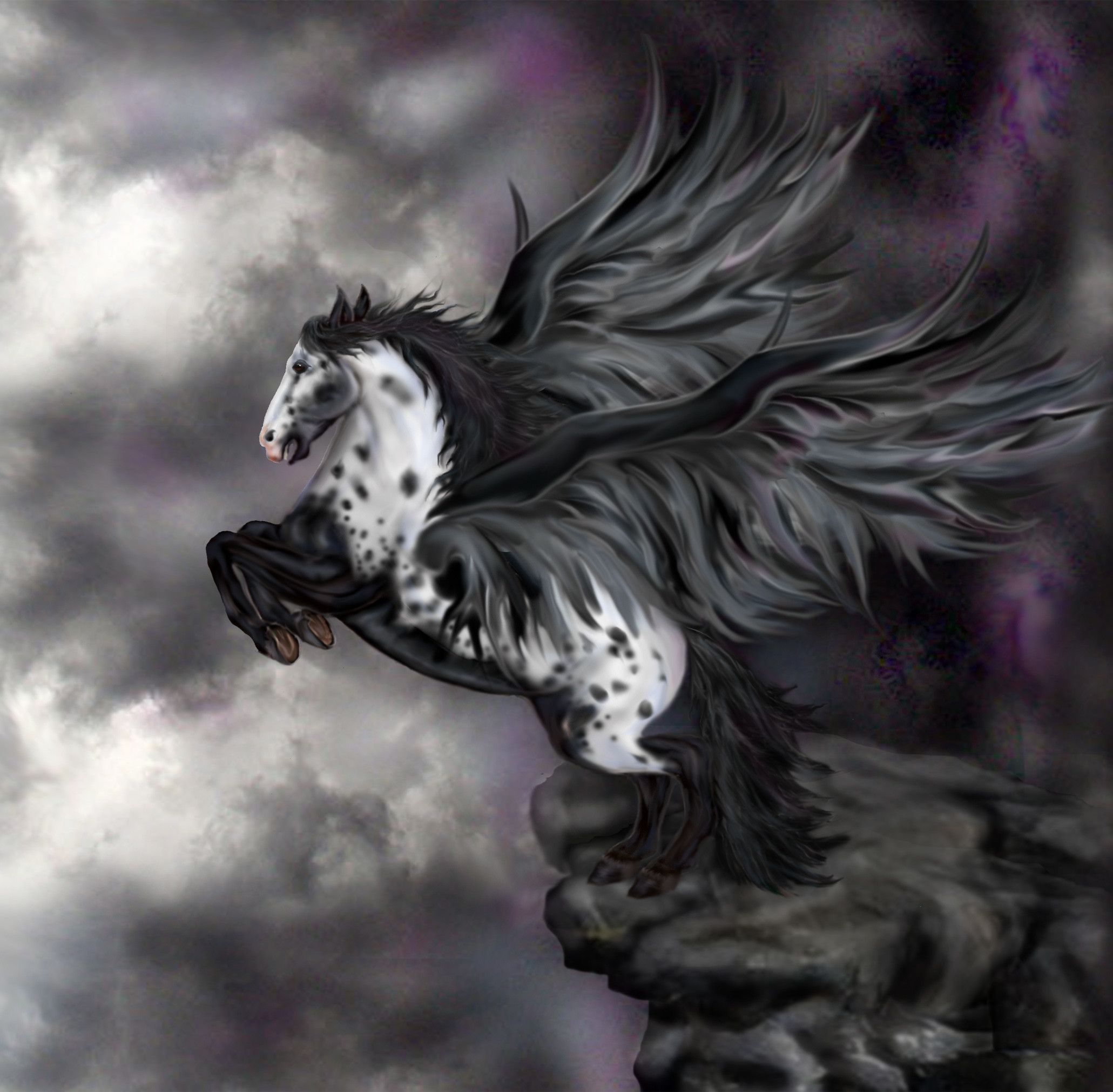 Fondo de pantalla de Black Pegasus (más de 75 imágenes)