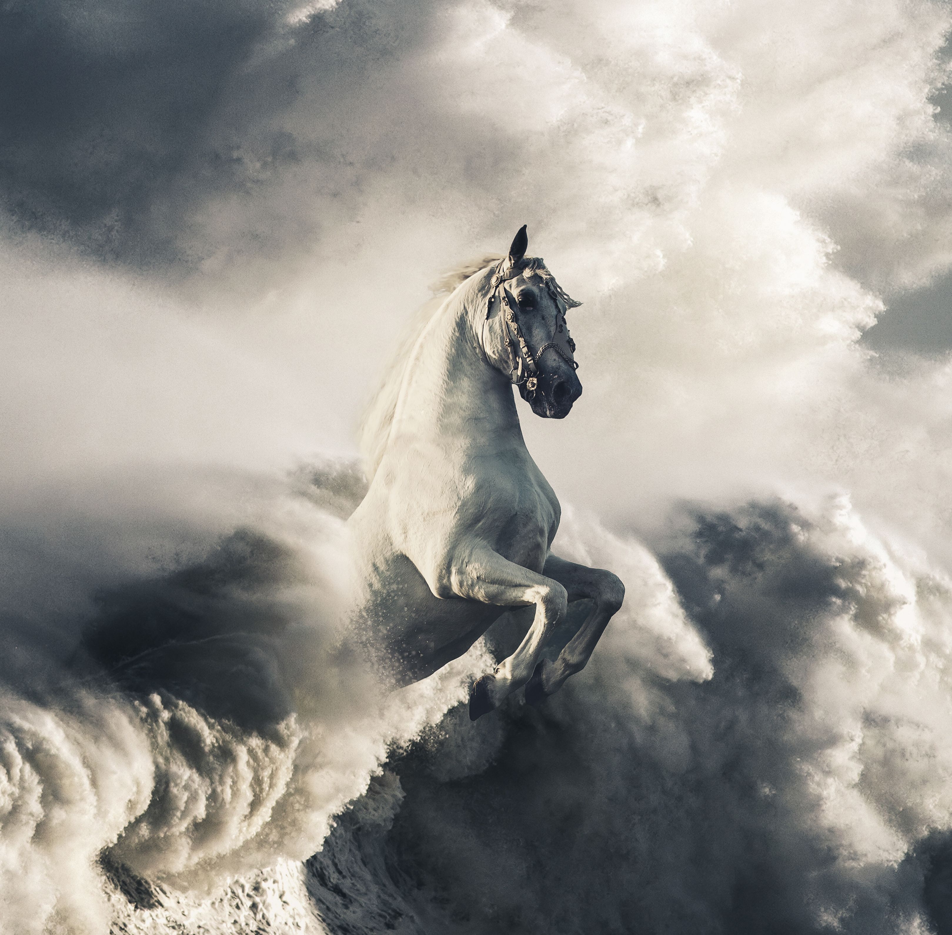 Fondo de pantalla Pegasus, Caballo blanco, Nubes, Olas, HD, Animales, # 14107