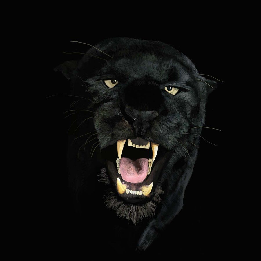 Black Panther HD Wallpapers Collection: Descarga gratuita de artículos en
