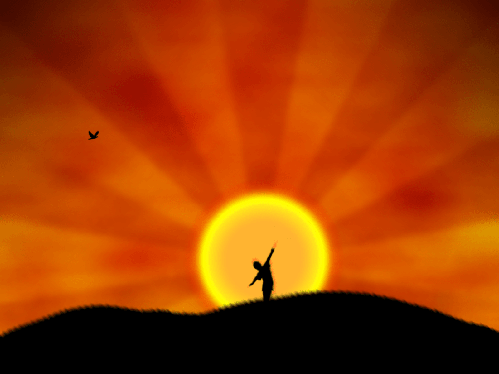 Sunrise Wallpaper - Sun Rise Photos Hd (# 285466) - Descargar fondo de pantalla HD