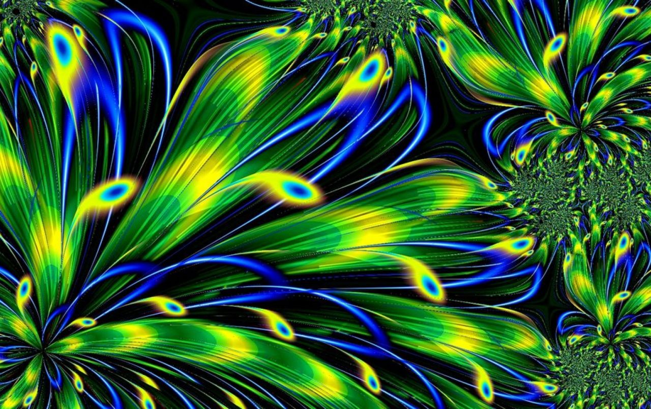 Abstract Peacock Feathers fondos de pantalla | Plumas de pavo real abstractas