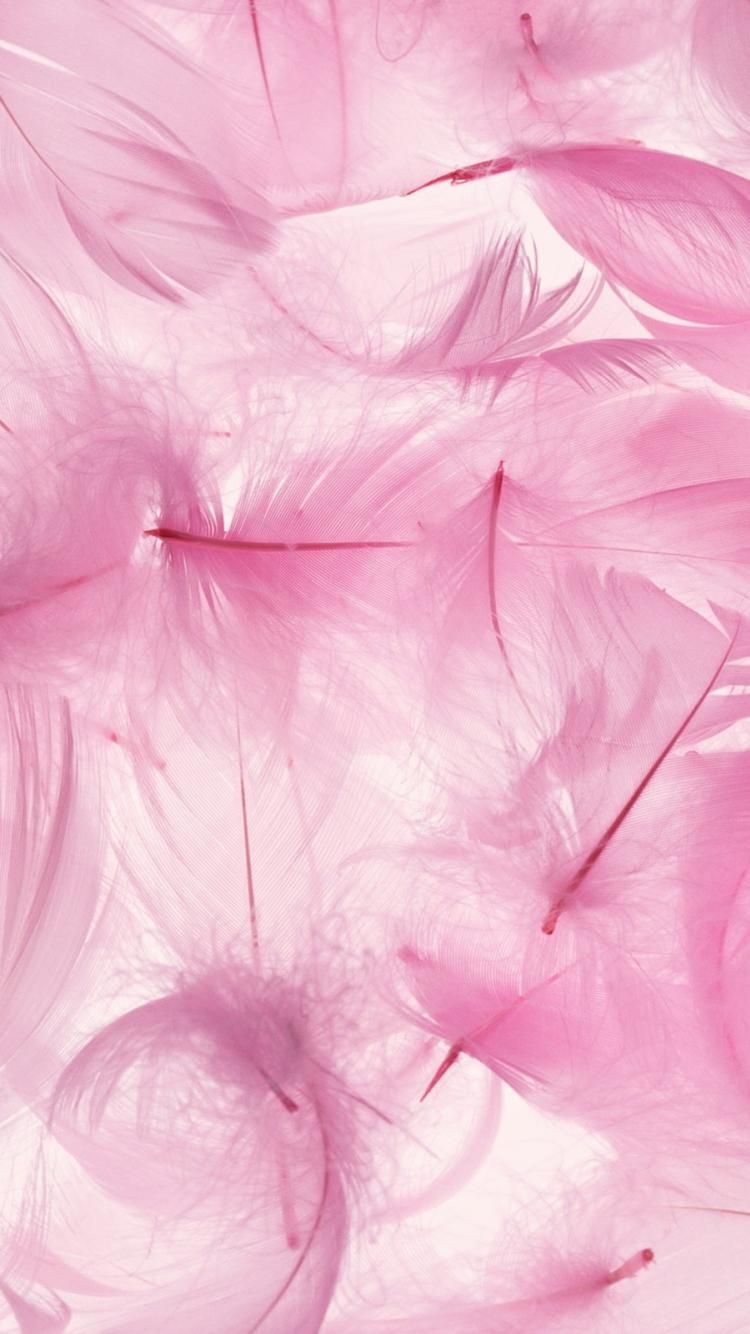 Розовые перья Эстетика