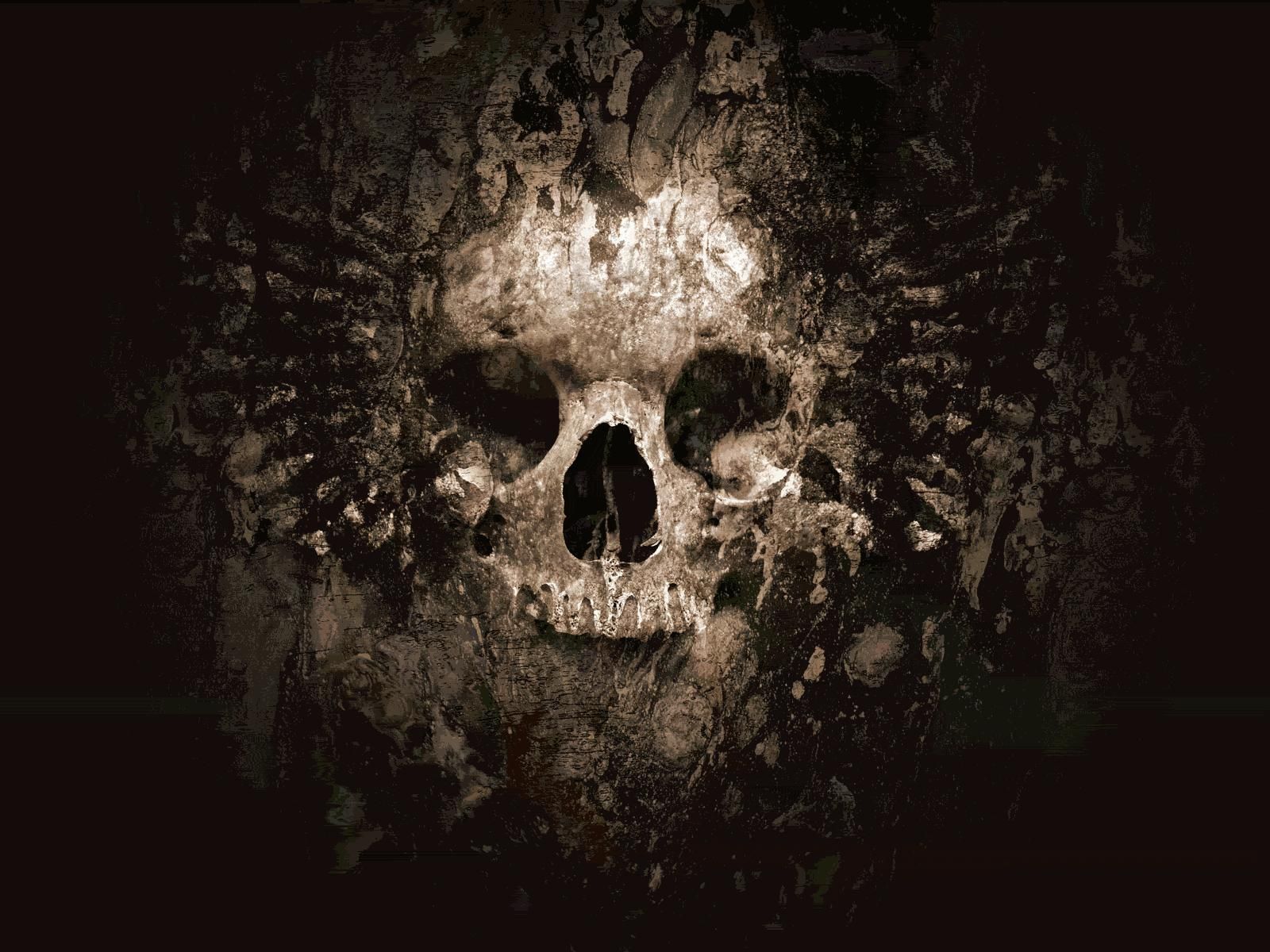 50 Cool Skull Wallpapers - Fondos de pantalla HD gratis