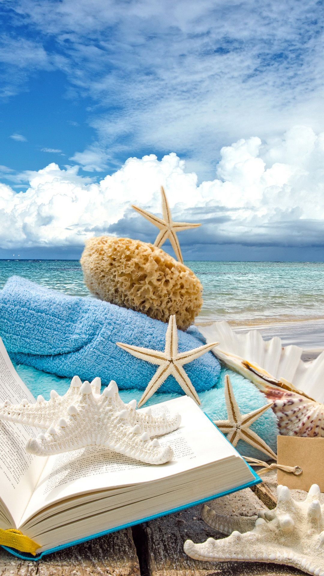 Summer Beach Book Seashells Sea Stars iPhone 6 Plus HD fondo de pantalla