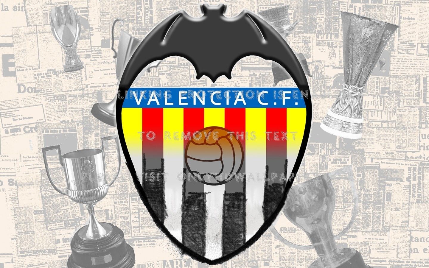 Valencia C.F. Copa de la UEFA