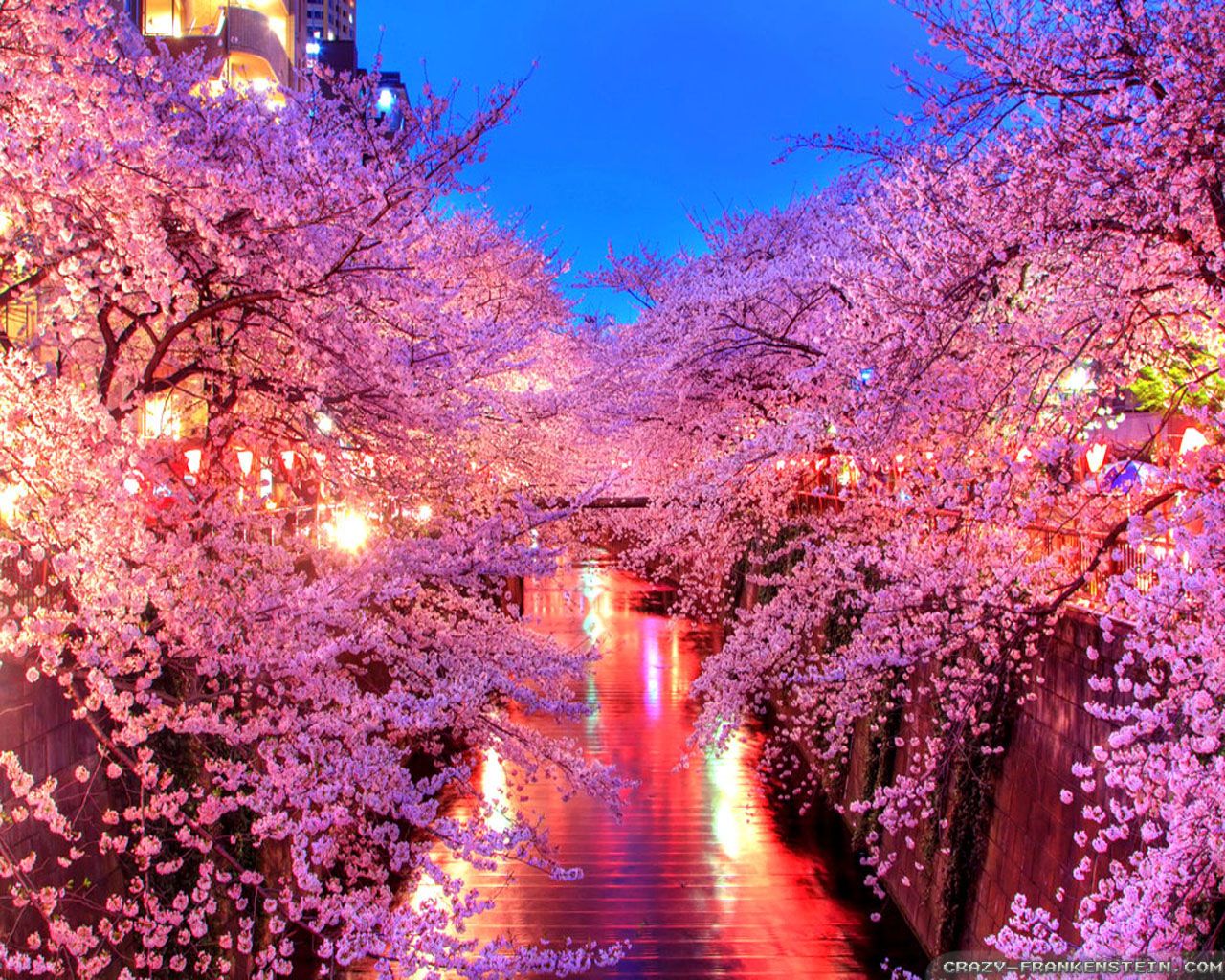 Spring Wallpaper - Spring In Japan (# 149957) - Descargar fondo de pantalla HD