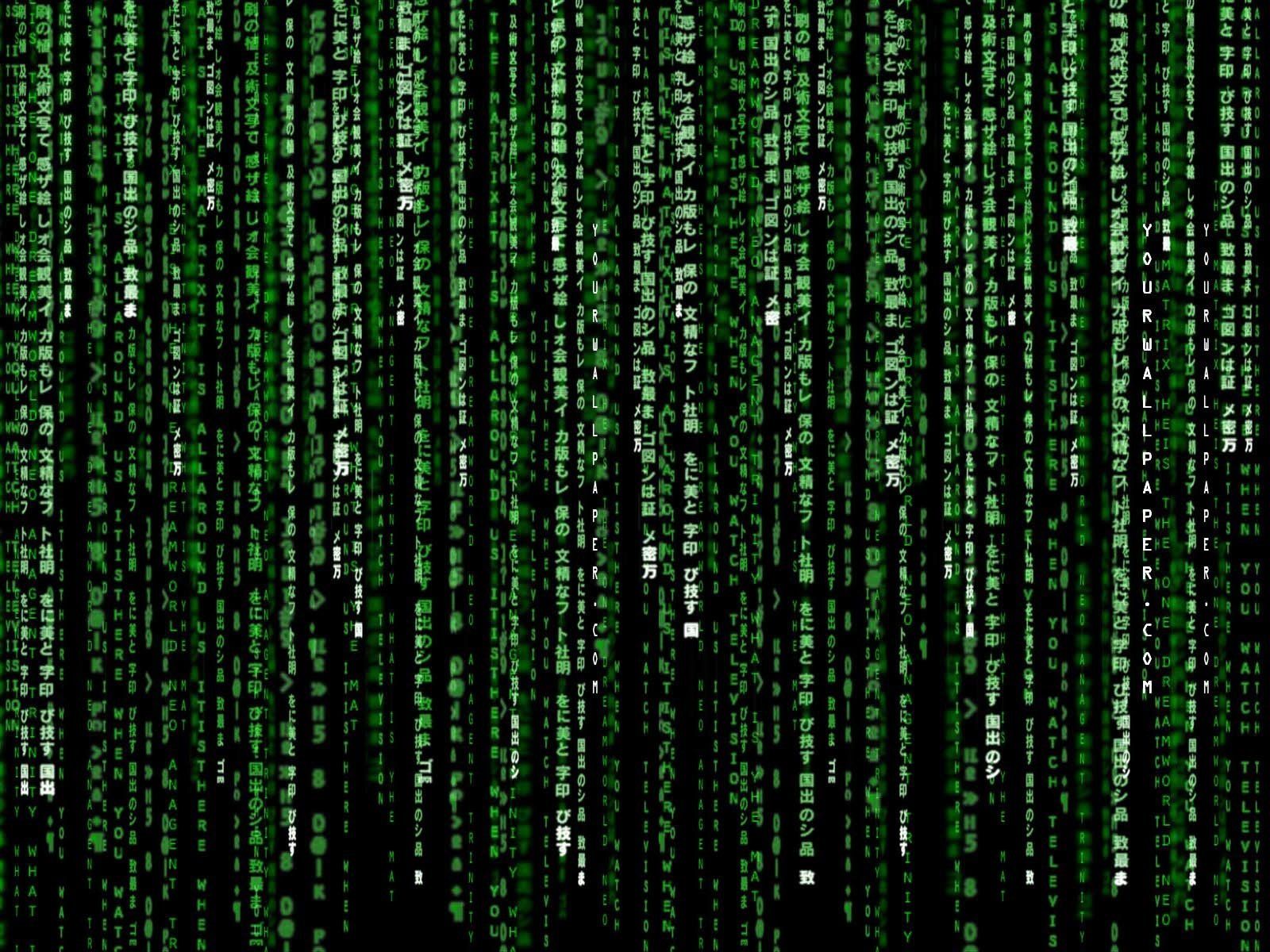 30 The Matrix Fondos de pantalla HD | Imágenes de fondo