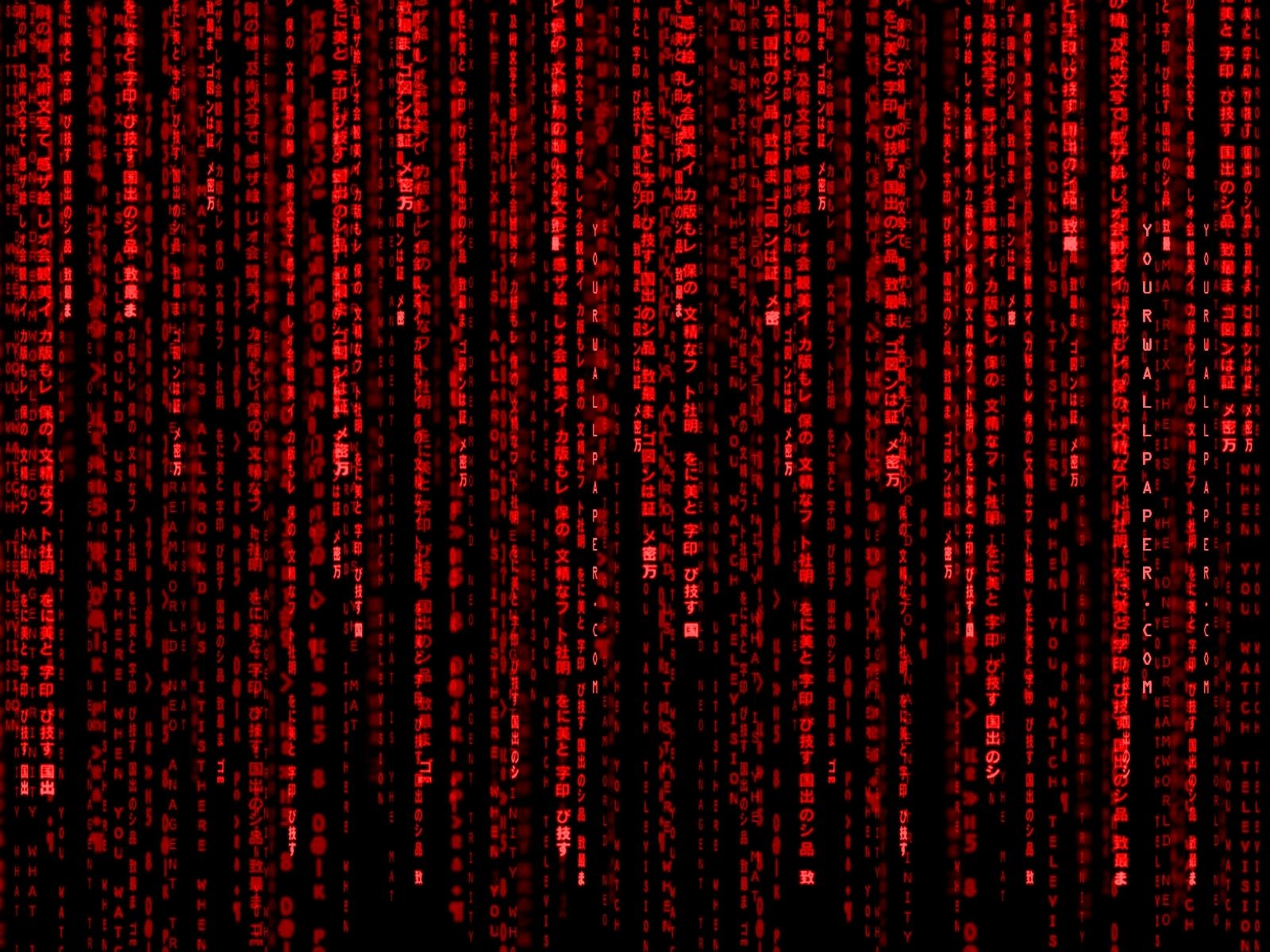 código de matriz roja 1600x1200 fondo de pantalla Fondos de alta calidad, alta