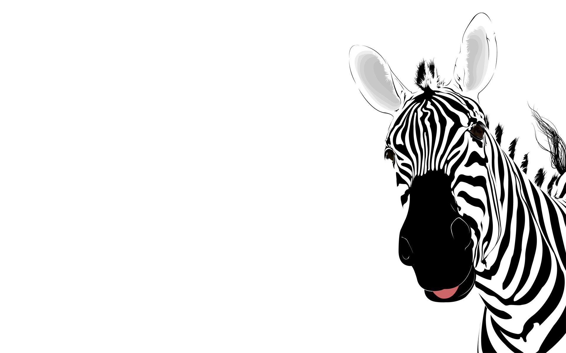 Fondo de pantalla de Zebra gratis