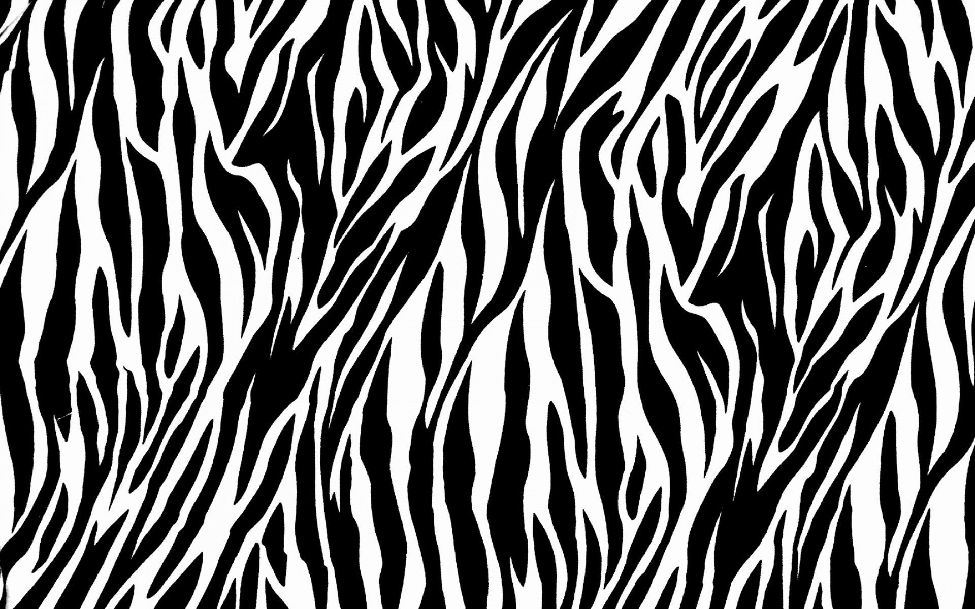 Zebra Desktop Wallpaper (más de 64 imágenes)