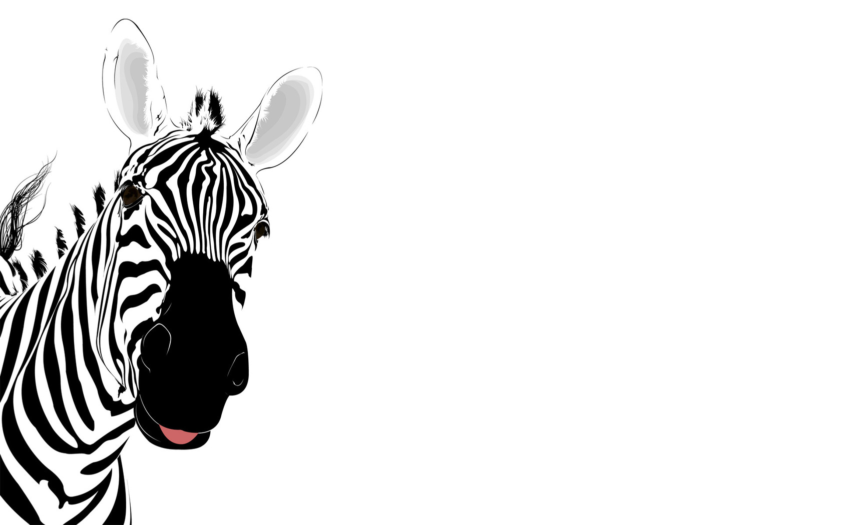 Fondo de pantalla de Zebra 16 - WallpaperCanyon