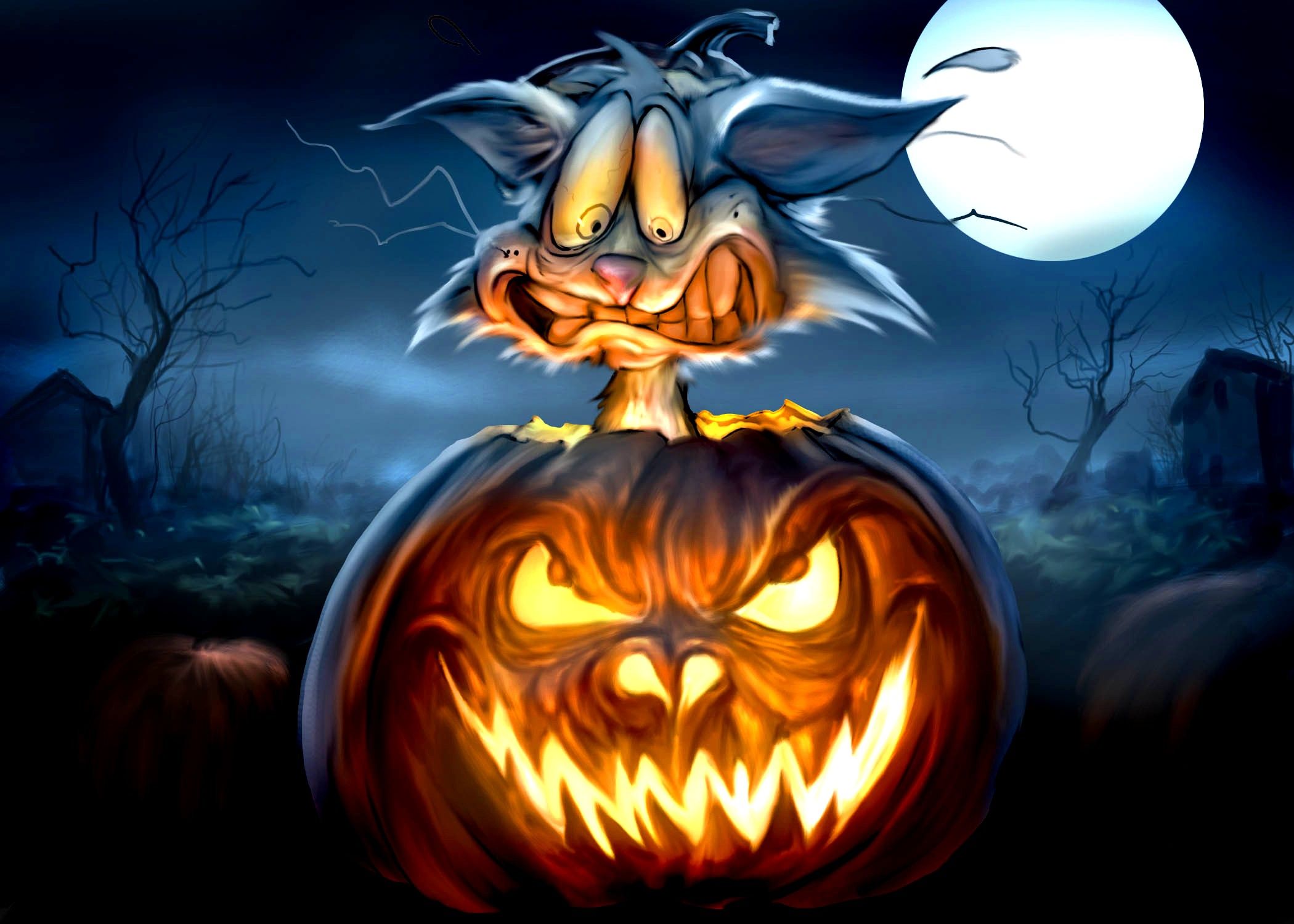 Fondo de pantalla de Halloween Cat In Pumpkin Fondo de pantalla 4k gratuito