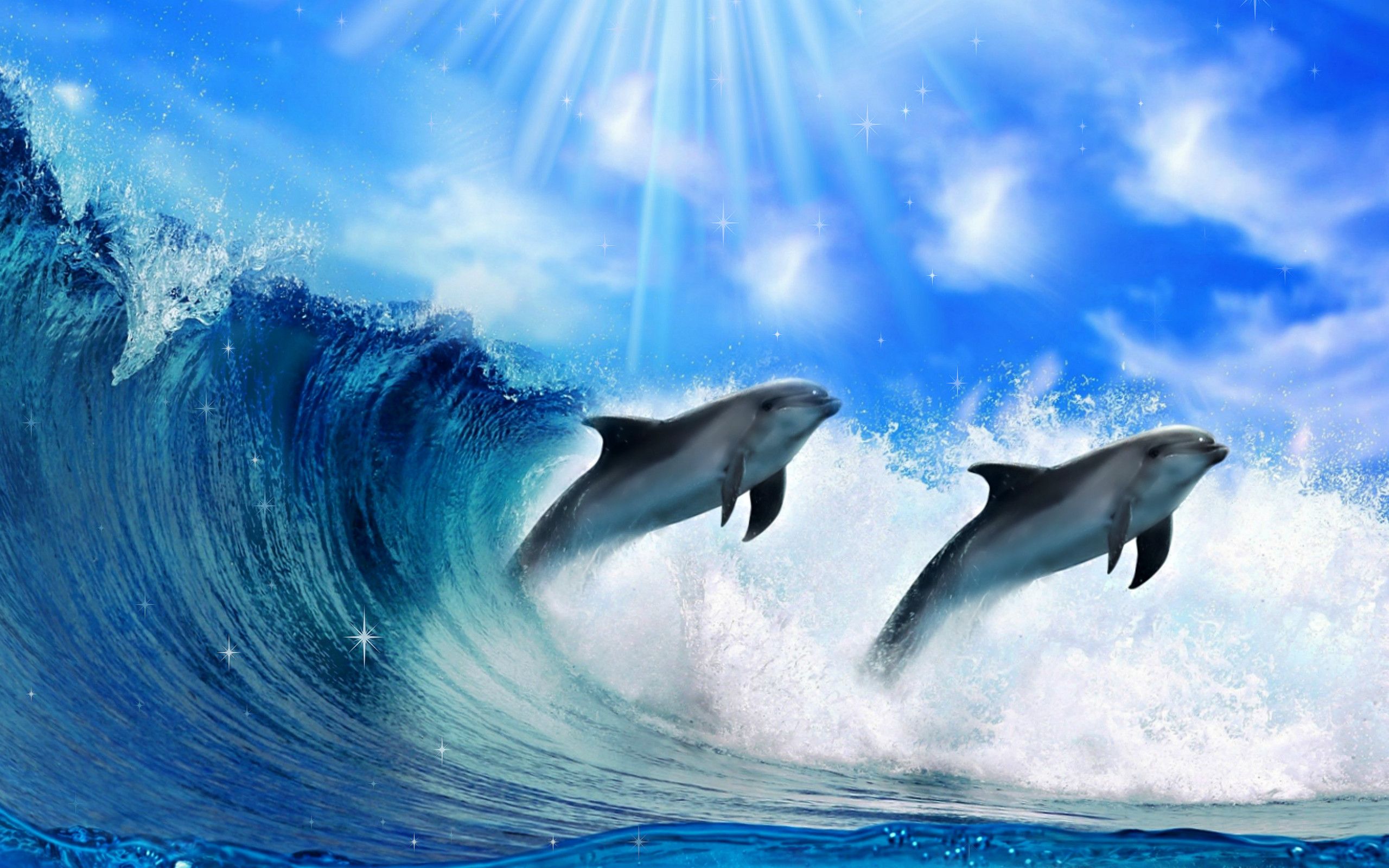 Fondo de pantalla animado de salvapantallas de delfines (46+ imágenes)