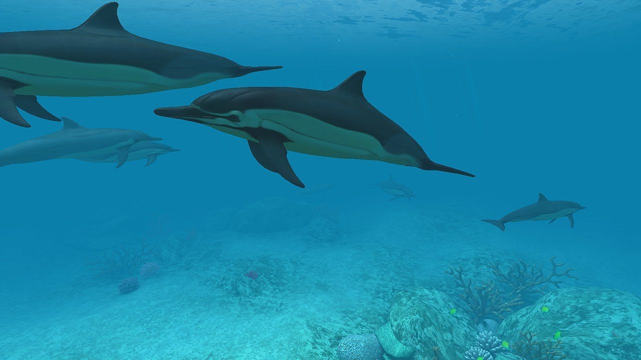 Dolphins 3D Screensaver y Live Wallpaper HD