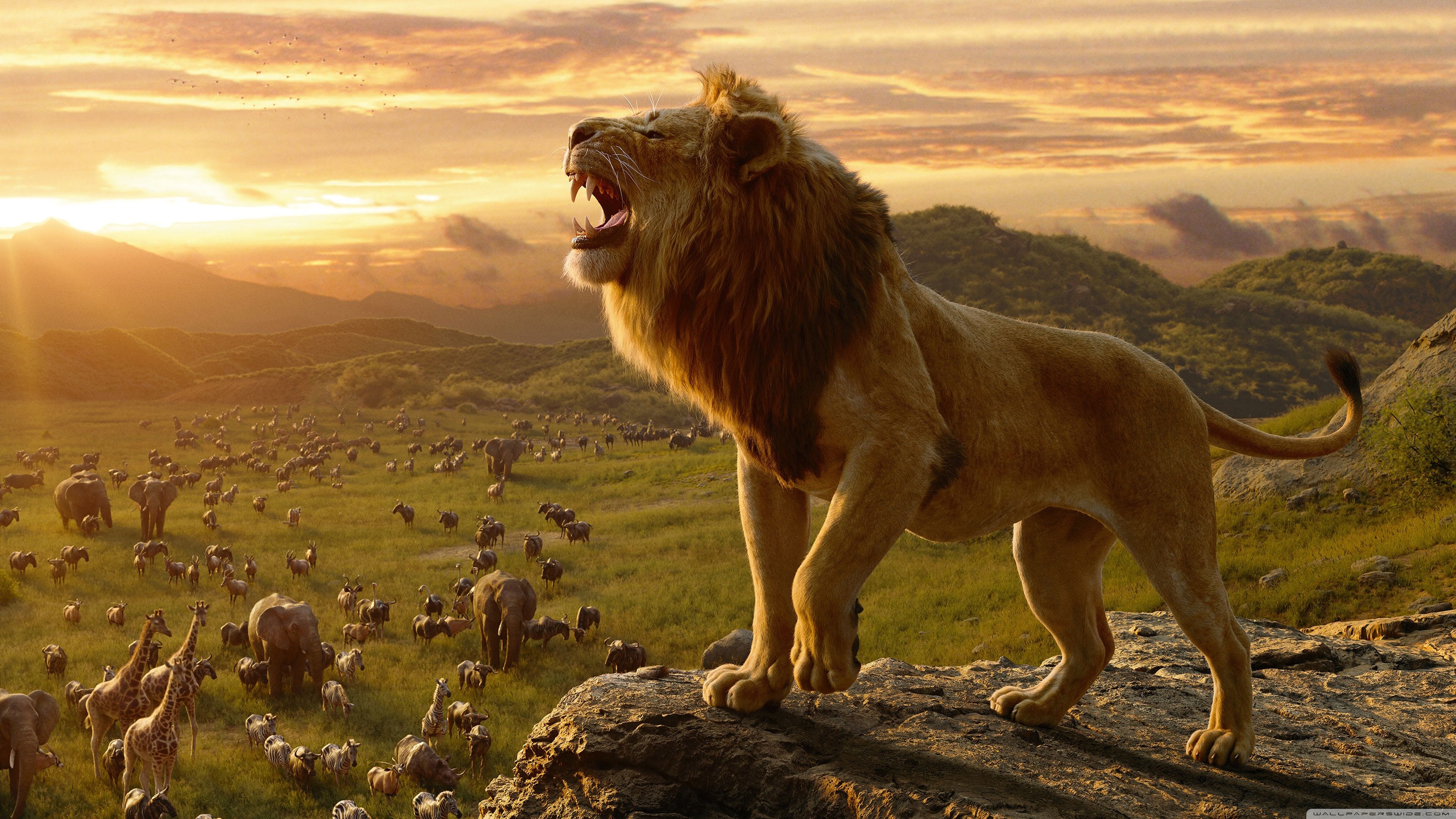 The Lion King 2019 ❤ 4K HD Desktop Wallpaper para 4K Ultra HD TV