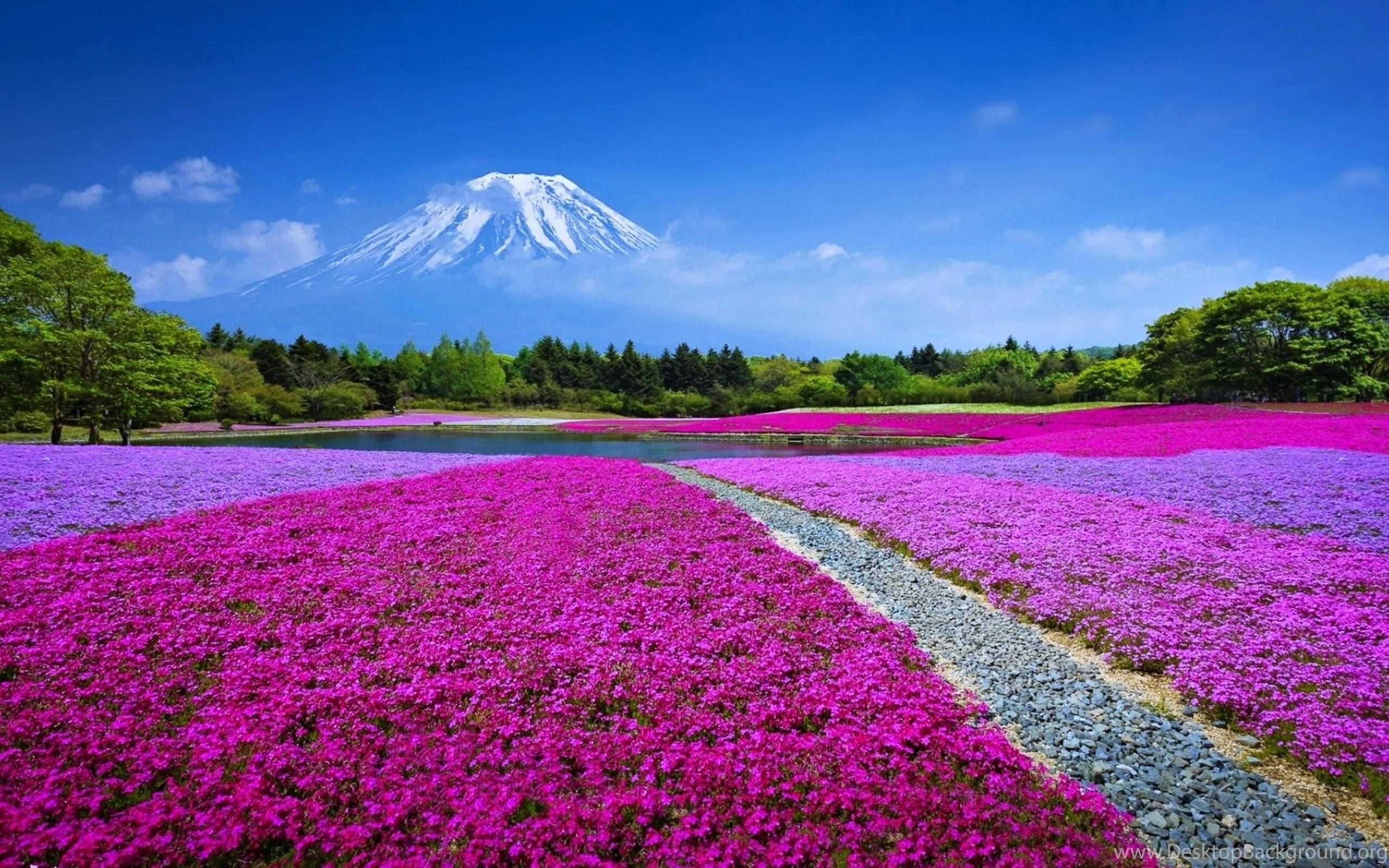 Los mejores 20 esquemas para el paisaje japonés Wallpaper Hd | Paisaje