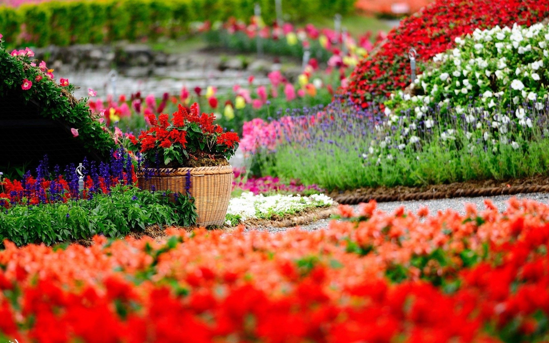 Fondos de pantalla de jardines con flores - FondosMil