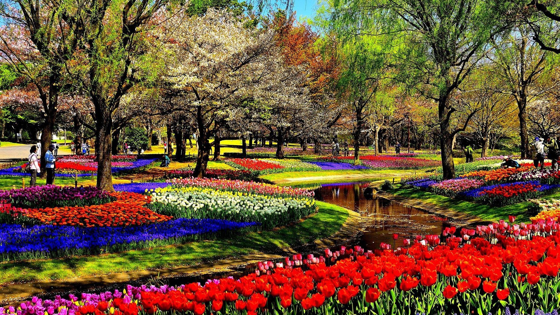 Flores Parque Parques Jardines Jardines Colorido Flor Hd Tema Cerrar