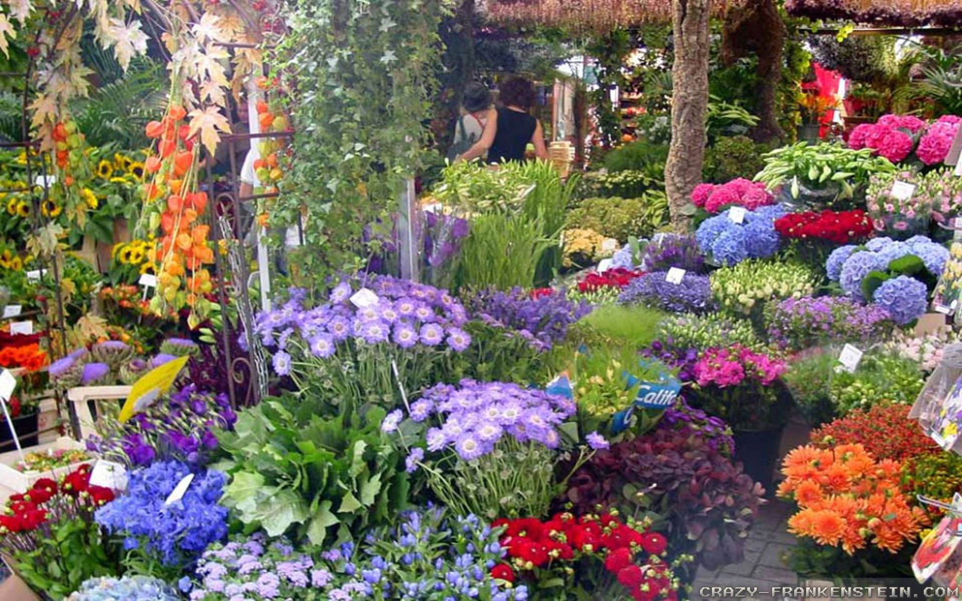 Hermosos fondos de pantalla de jardines de flores Galería