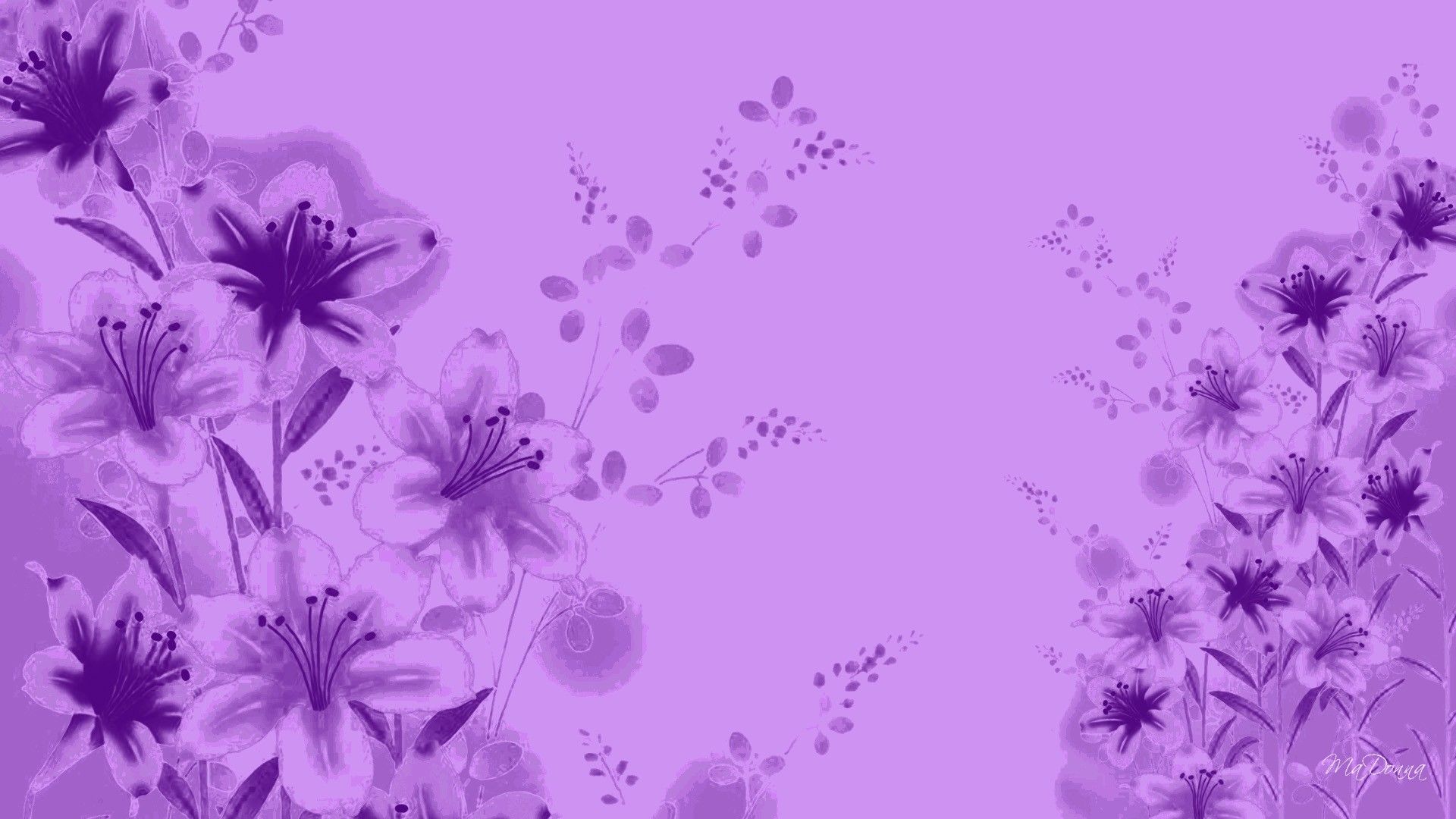 Lavender Color Wallpaper - Papel pintado, alta definición, alta calidad