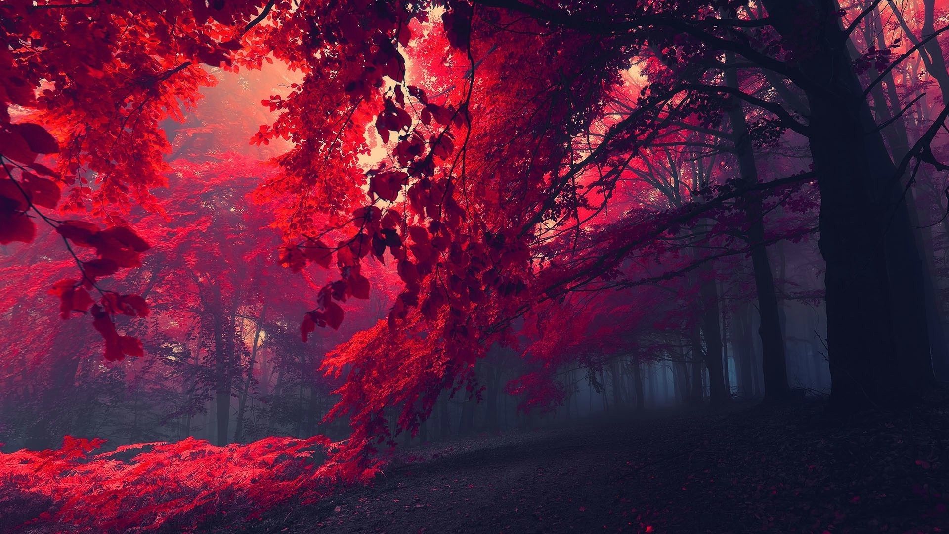 Red Nature Wallpaper (más de 65 imágenes)
