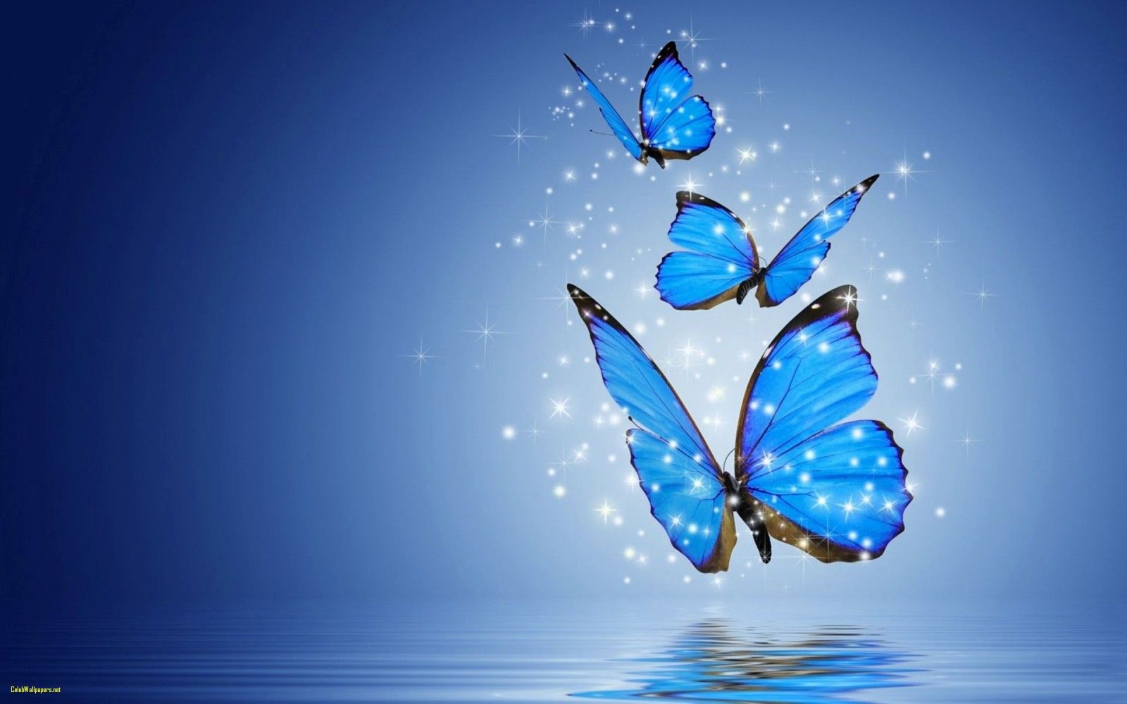 Butterfly Wallpaper - Blue Butterfly Images Hd (# 158806) - HD