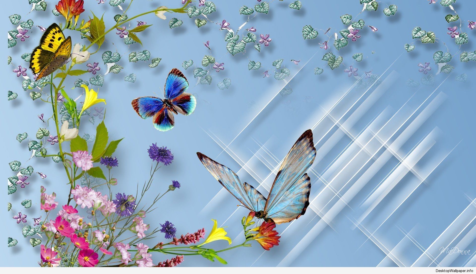 Más de 58 fondos de pantalla 3D Butterfly