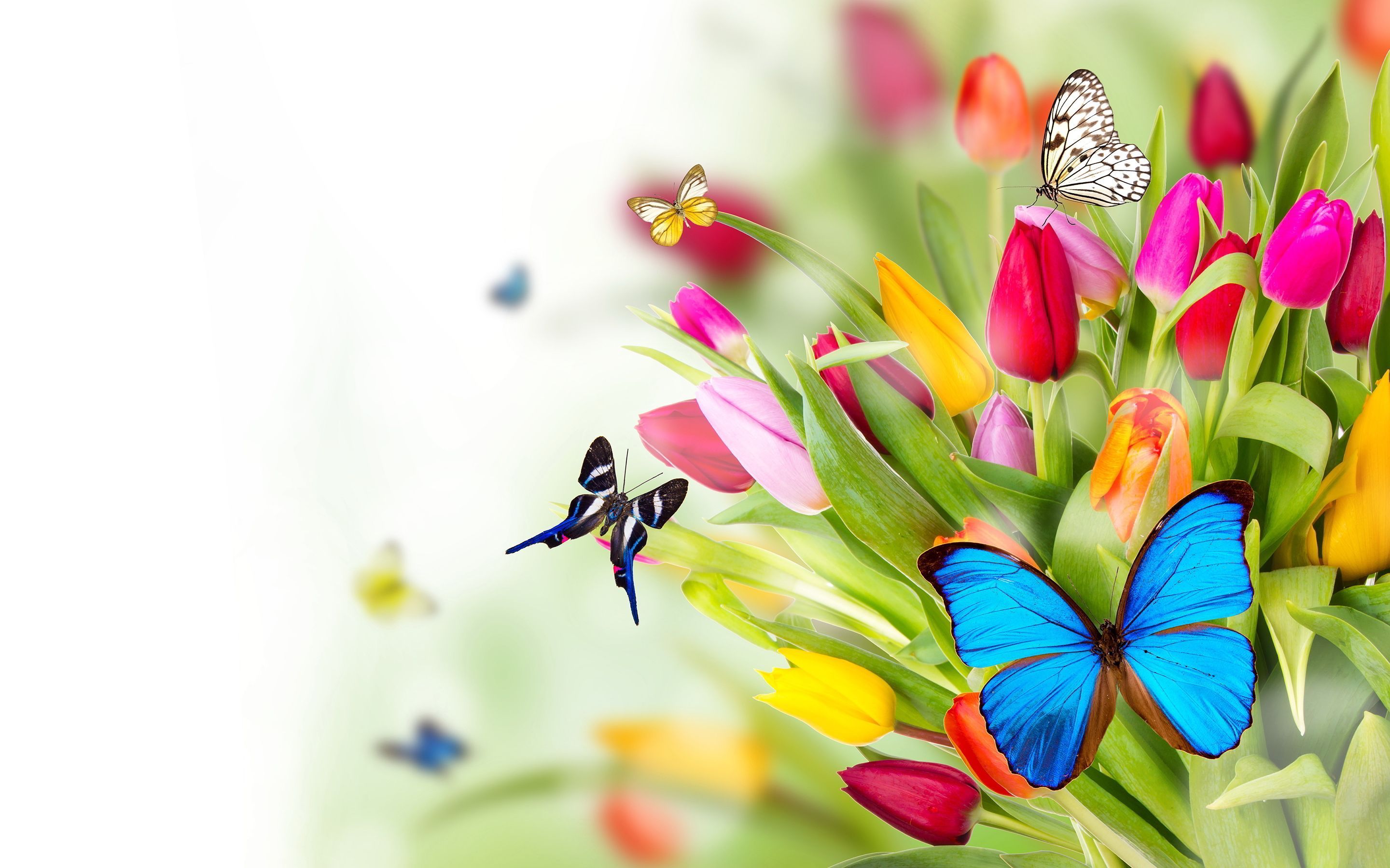 Más de 45 fondos de pantalla de flores y mariposas - Descargar