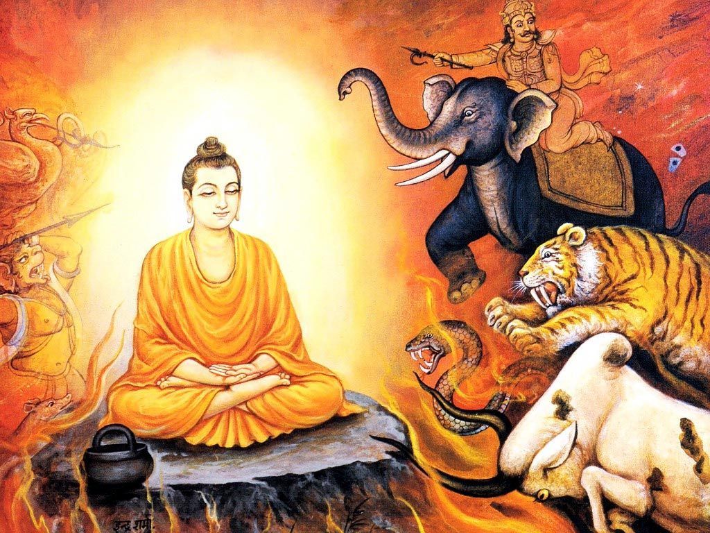 Fondo de pantalla de Buda para escritorio | Bruce Banner en 2019 | Budismo