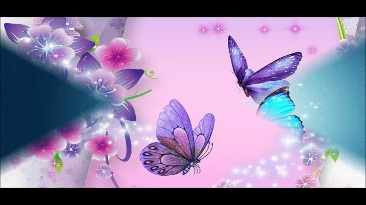 Beautiful Butterfly Wallpapers HD Pictures