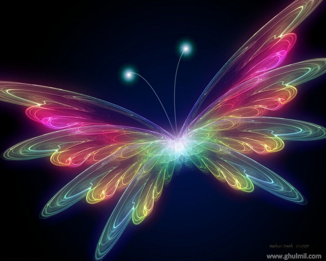 3D Butterfly wallpaper - Butterflies Wallpaper (31063788) - fanpop