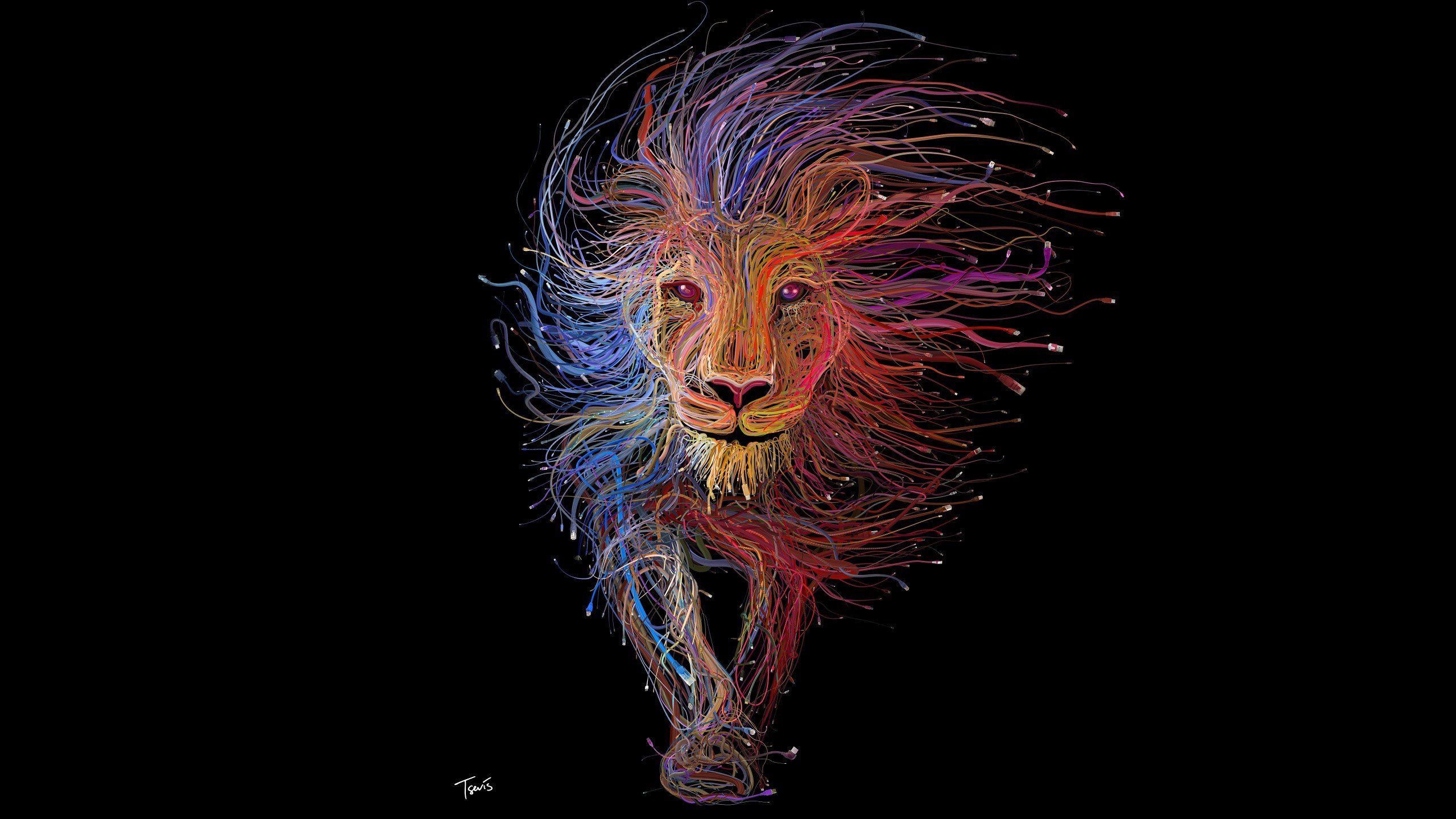 Cables coloridos Lion HD fondo de pantalla