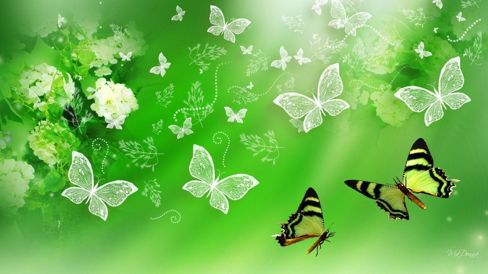 Más de 68 fondos de pantalla de Mariposa verde
