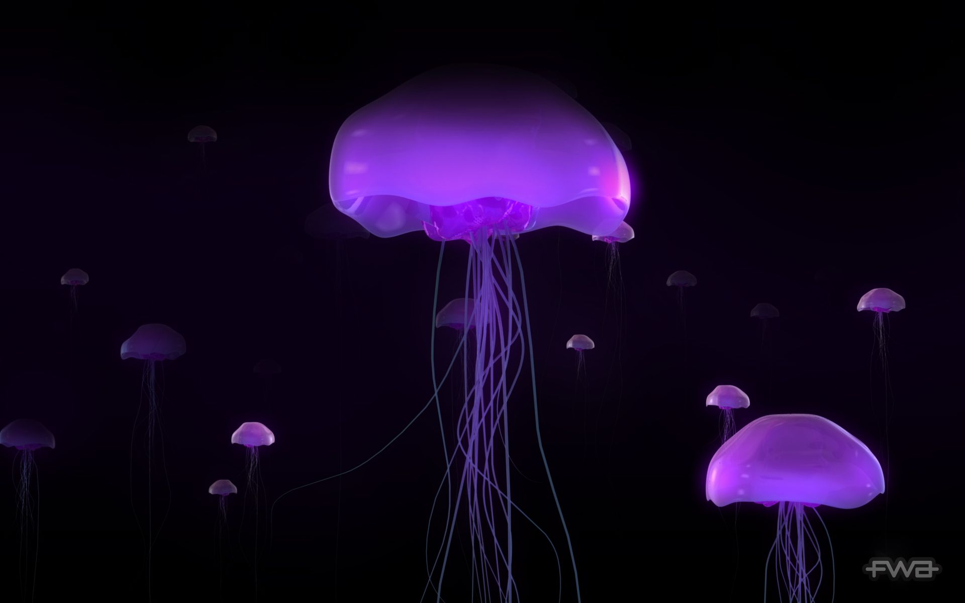 Fondo de pantalla de medusa fluorescente - 1251955
